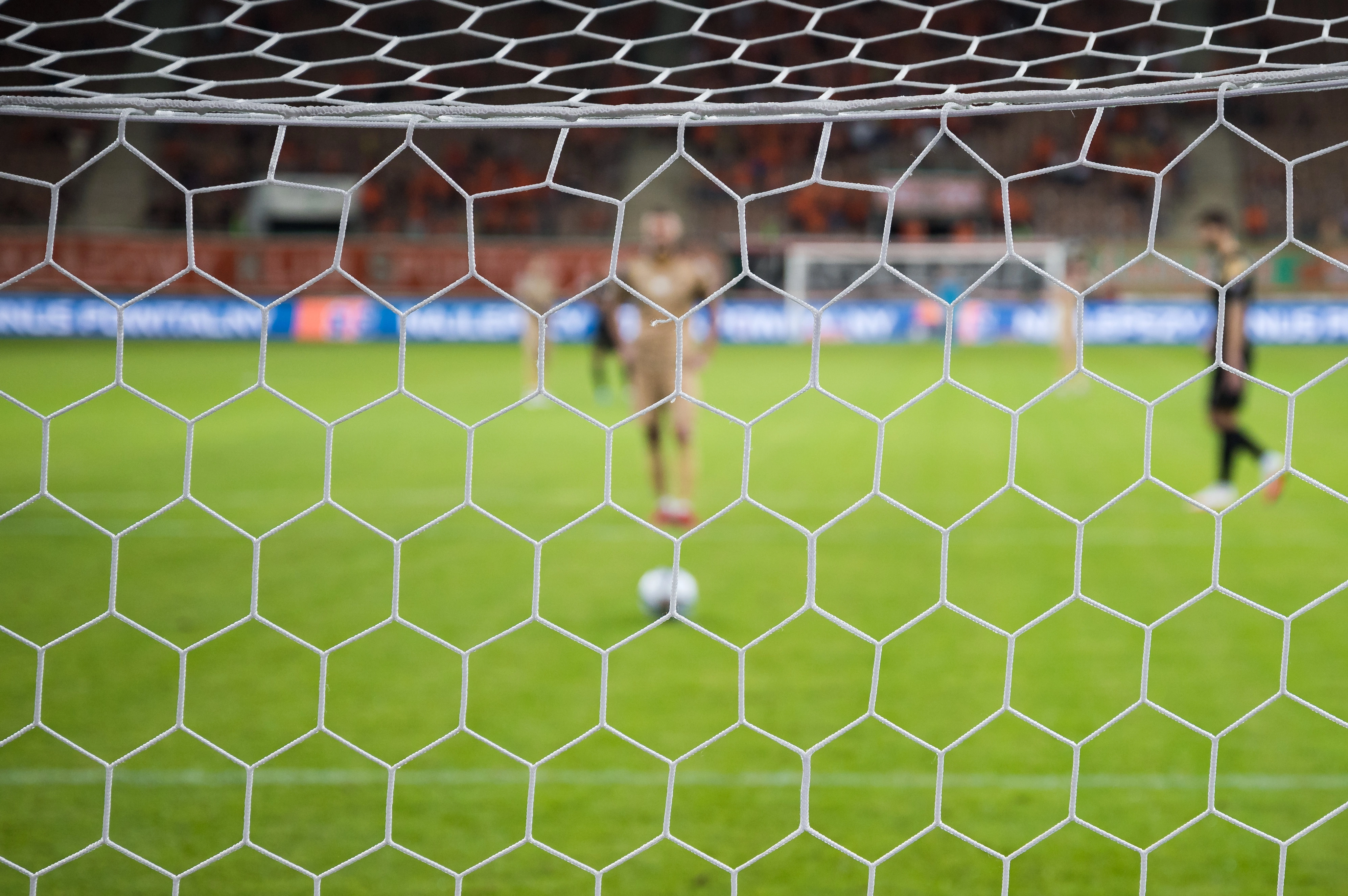 Goal net