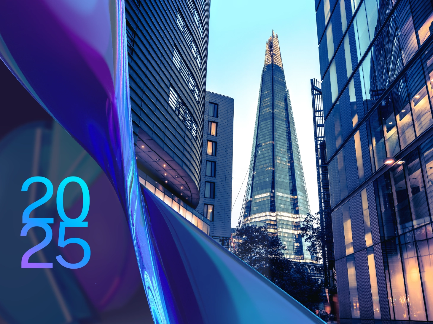 NI Budgetshort Smaller Banner